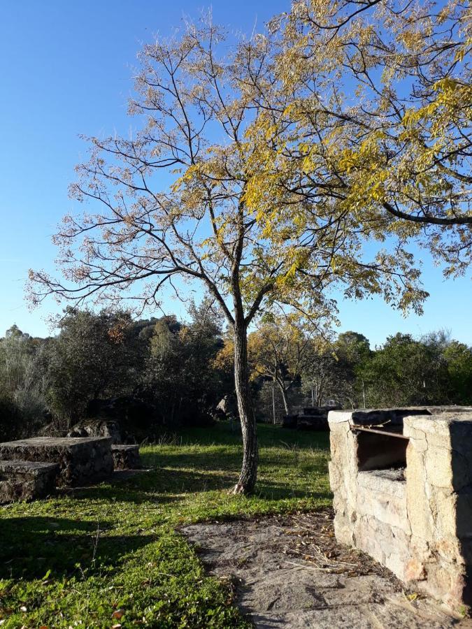 Albergue Alagon Natura Valdeobispo 外观 照片